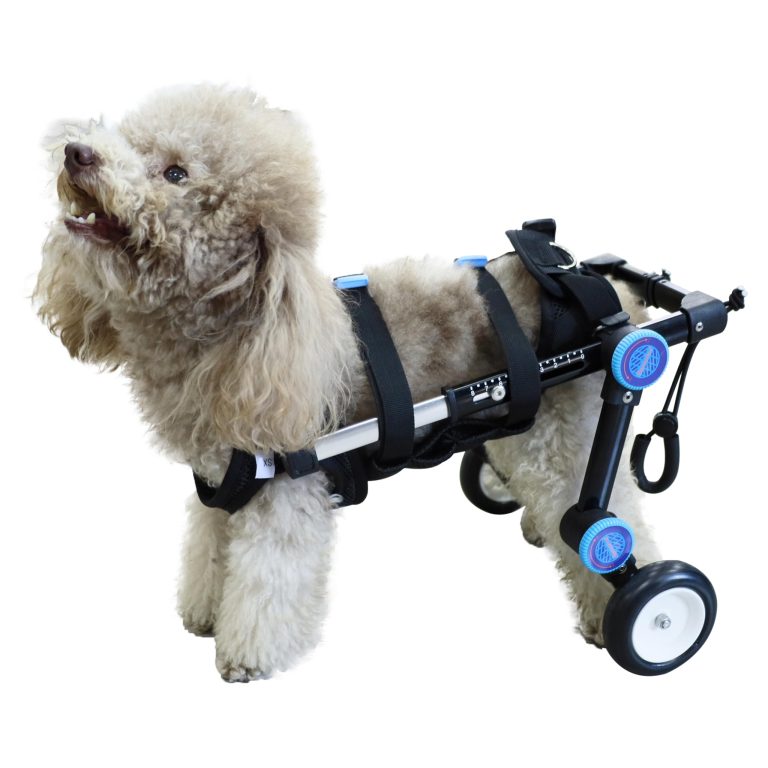 Adjustable Dog Wheelchair