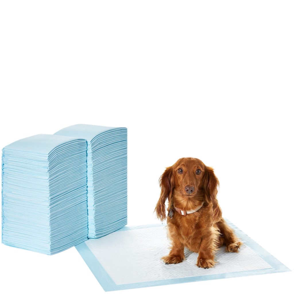 Dog and Puppy Pee Pads