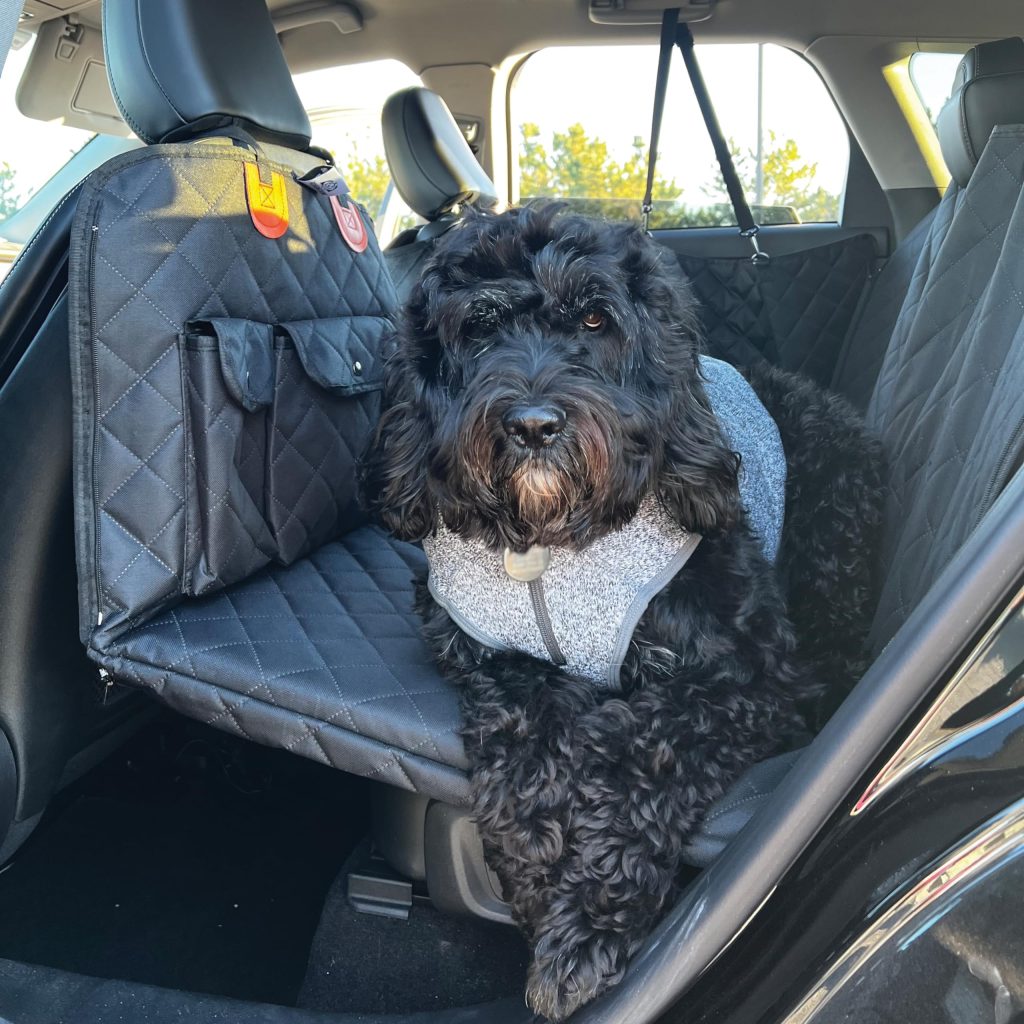 BarkBridge+ Backseat Extender for Dogs