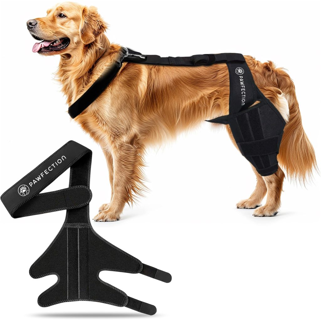 Pawfection ACL Knee Brace for Dogs