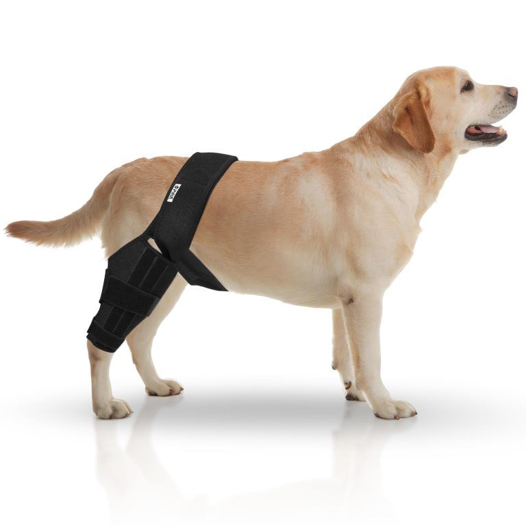 YSPet Premium Dog ACL Knee Brace